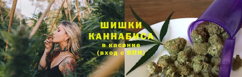 сколько стоит  Куртамыш  Каннабис OG Kush 